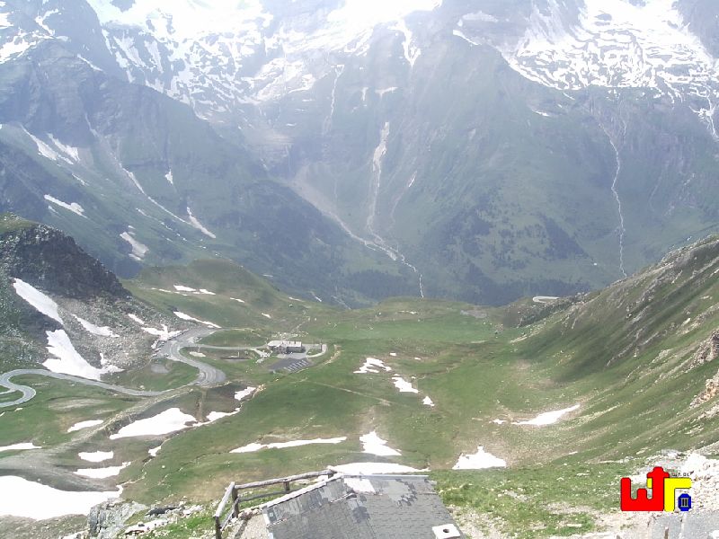 Edelwei�spitze